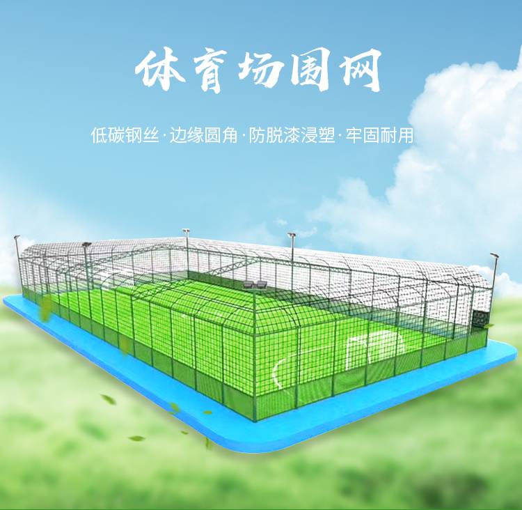 关于环保足球：球场如何减少碳足迹？的信息