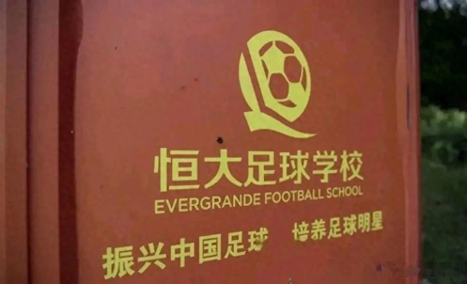 华体会网页登录-恒大足校10年投入30亿，如今成果如何？的简单介绍