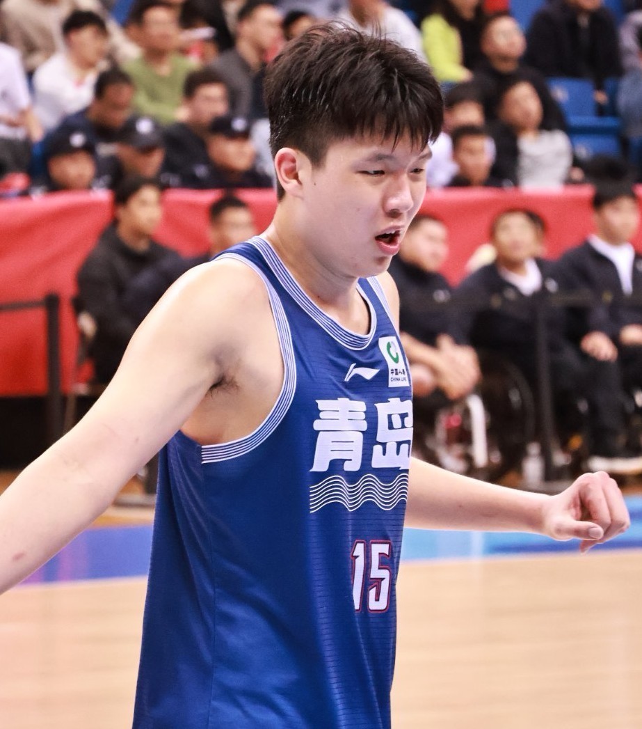 包含杨瀚森：下一个NBA中国球员？的词条